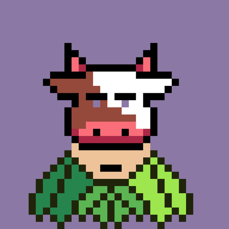 A Cow